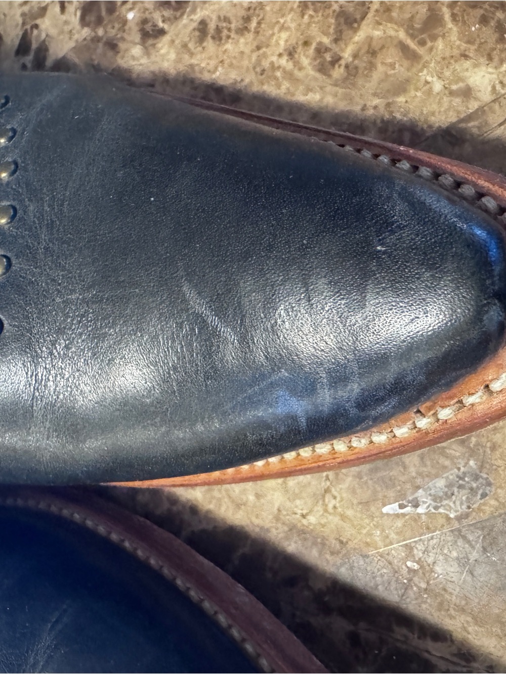 Ariat Studded buckle Black Leather Women's Booties with Buckle - Picture 10 of 12
